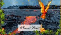 Buchbar jedes Monat – Phönix-Boost